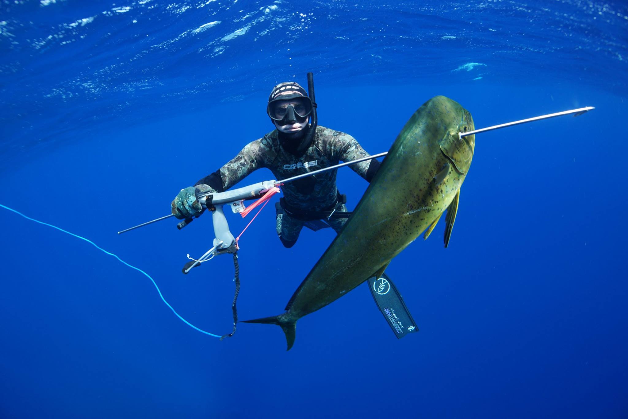 Best Fishing Charters and Deep Sea Spearfishing Trips in Bahamas